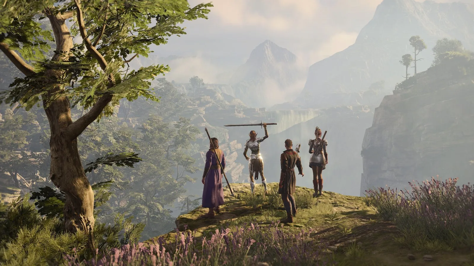 El grupo de aventureros contempla un valle desde un acantilado en Baldur's Gate 3