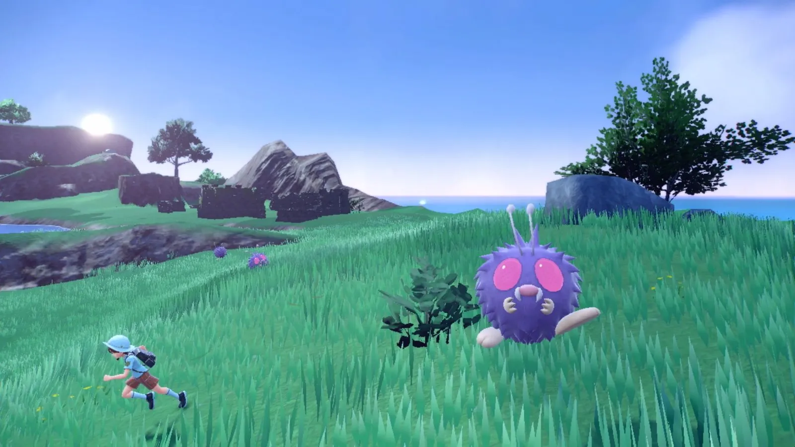 Un entrenador y un Pokémon en un prado de Paldea en Pokémon Escarlata y Púrpura